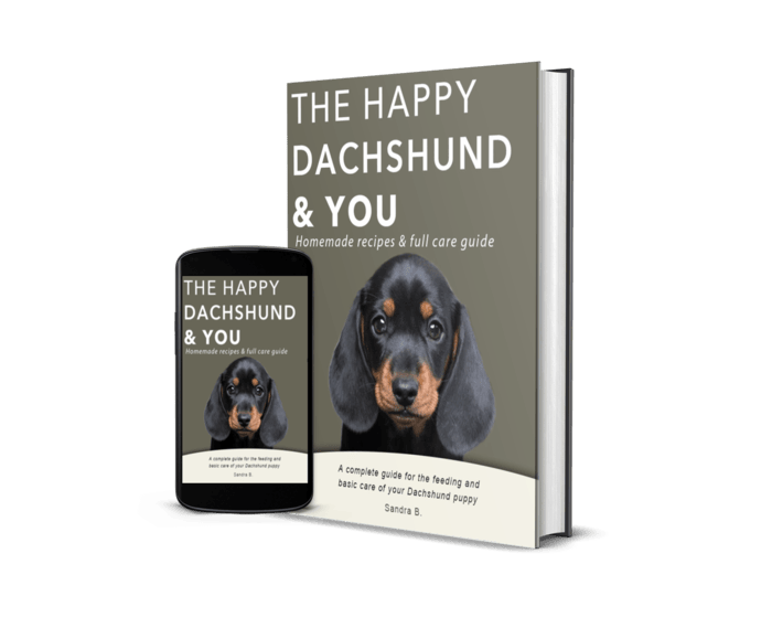 The Happy Dachshund & You