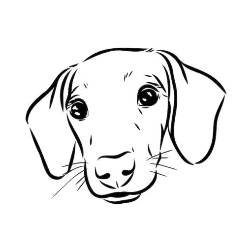 Home Of Dachshunds